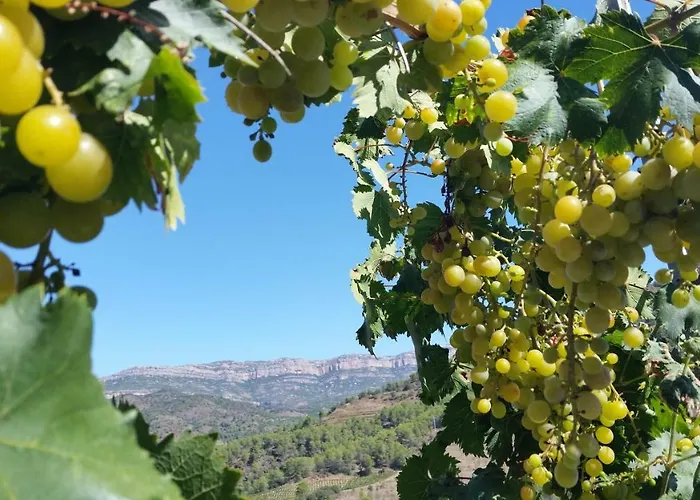 Cal Alemany Torroja