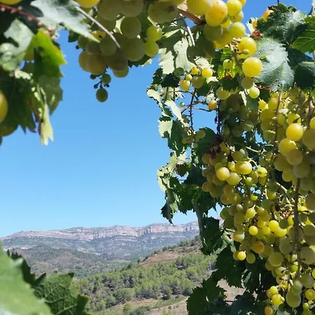 Cal Alemany Torroja